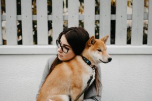 Bien choisir la meilleure assurance pour son animal de compagnie