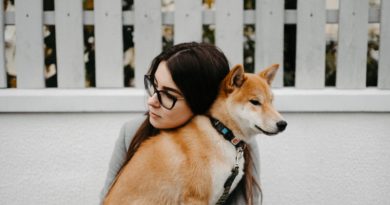 Bien choisir la meilleure assurance pour son animal de compagnie