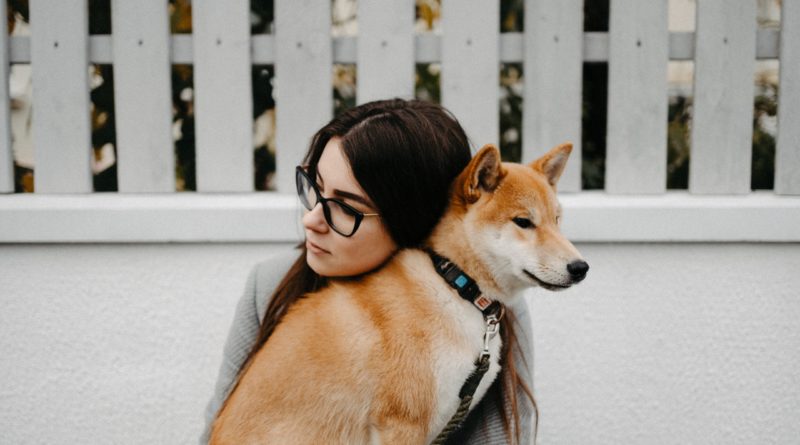 Bien choisir la meilleure assurance pour son animal de compagnie