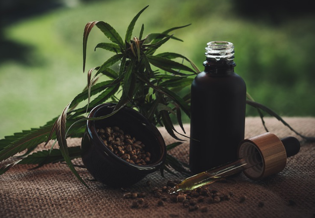 Les propriétés thérapeutiques du CBD