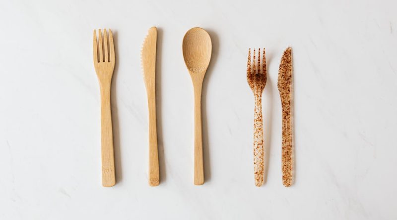 fourchette en bois éco