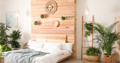 Comment Adopter un Mode de Vie Durable et Équilibré