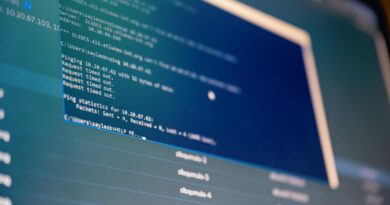 Quand l’Information Passe par Internet : Opportunités et Défis du Numérique