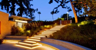 Le blog pour les passionnés du jardin