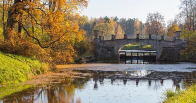 Actualités et loisirs au fil de l’eau : Entre nature, innovation et plaisir durable