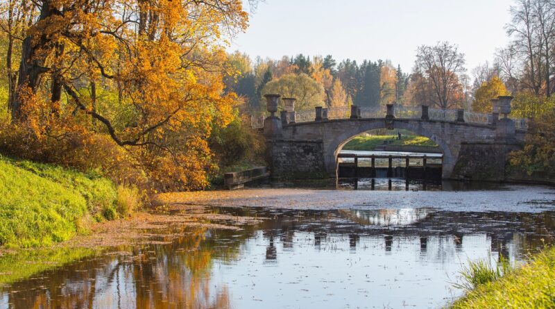 Actualités et loisirs au fil de l’eau : Entre nature, innovation et plaisir durable